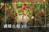 通樑古榕 VR